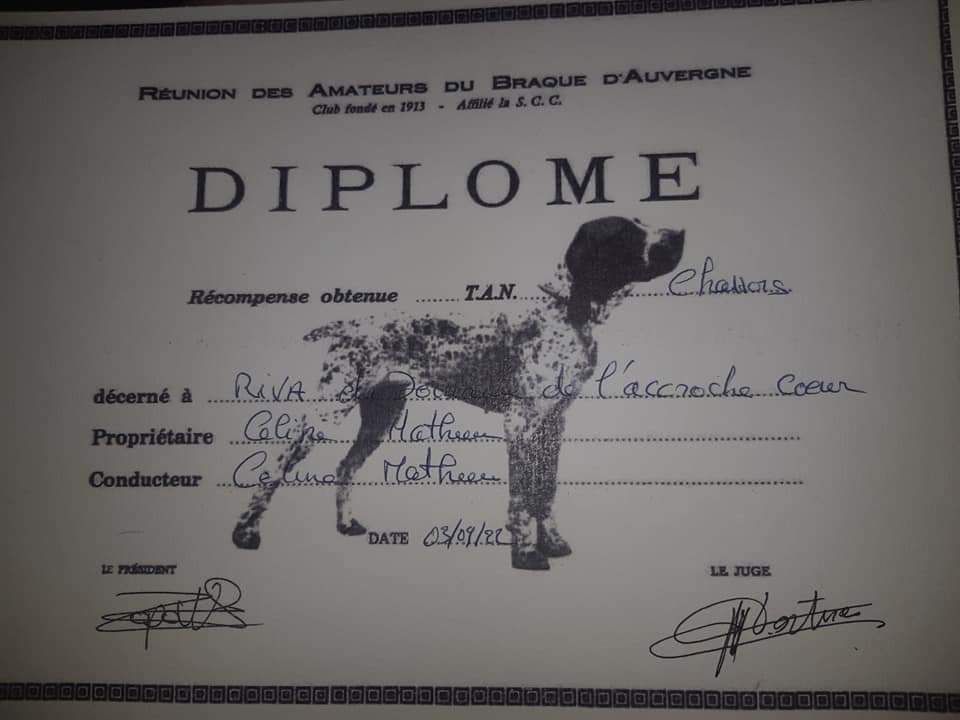 Du Domaine De L'Accroche Coeur - Riva du Domaine de l'Accroche Coeur TAN